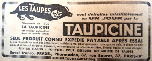 taupiciine6.JPG