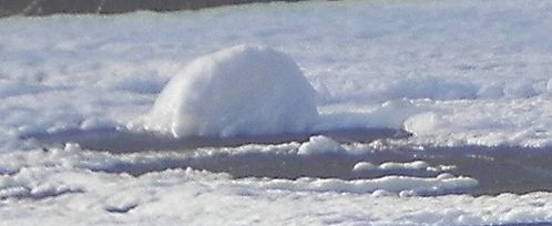 BOULE-DE-NEIGE.JPG