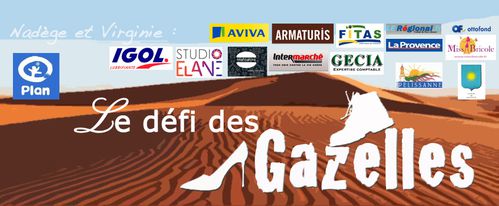 bannieredefidesgazelles7
