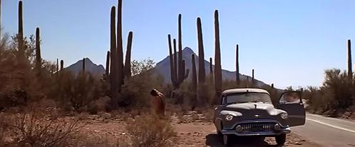 car-desert-cactus-daria.JPG