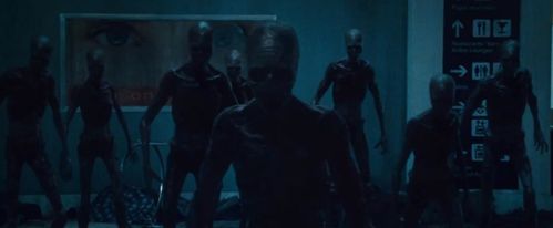 w-bodies-6.jpg