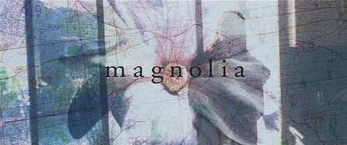 Magnolia_3.JPG
