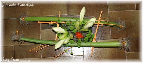 2011 15 02 gondole amaryllis 1