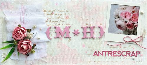 mh-antrescrap.jpg