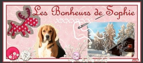 les-bonheurs-de-sophie.jpg