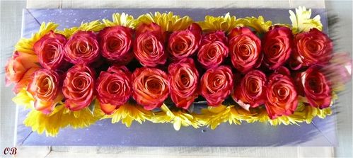 GERBERAS ET ROSES - PB