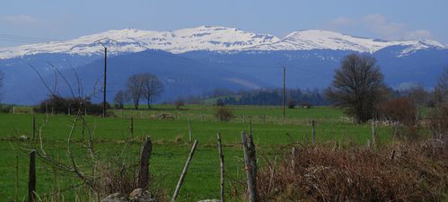DSC01187.JPG