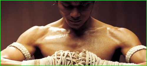 Movies_Movies_O__Ong-bak_010376_-950x425-1.jpg