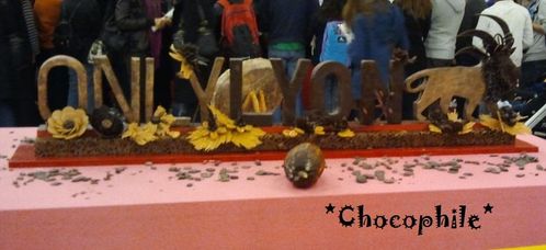 saloncho2012 (19)