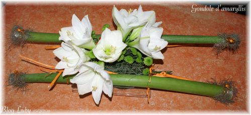 2011 15 02 gondole amaryllis 2