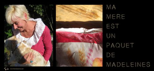 fanny-la-cerise-madeleine.jpg
