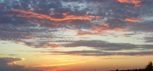 DSCN1462.JPG