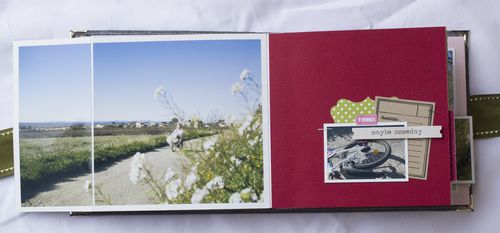 crop-DOubs 2927