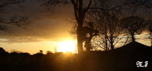 Kernilis 24-01-10 (12)