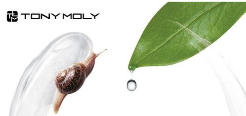 tony moly live snail