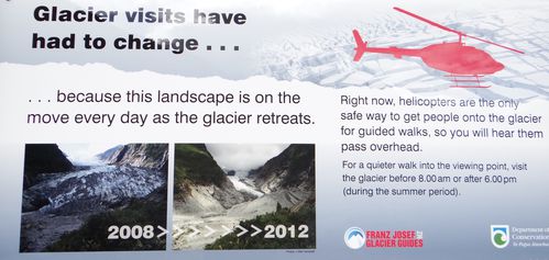 11 Franz Josef Glacier (5)