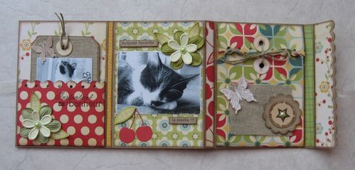 Mini-album ouvert 2
