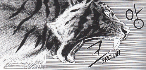 tigre03