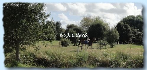 Les-Palujous-04.jpg