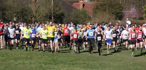 Trionium Leith Hill Half Marathon 2014. Una bella mezza eco-maratona, tra valli, colli e boschi nel bucolico Surrey