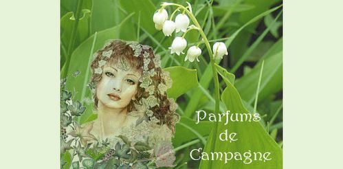 muguet-1-mai.jpg