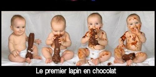 00015----le_premier_lapin_en_chocolat.JPG