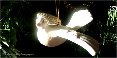 oiseau-blanc.jpg