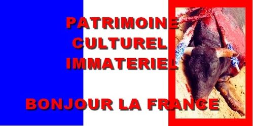 patrimoine-culturel-immateriel