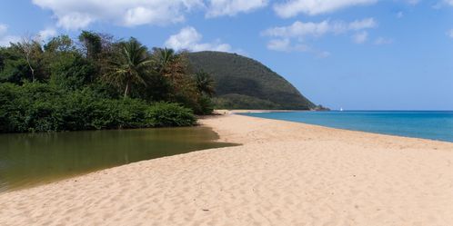 Guadeloupe, plage de Grande Anse
