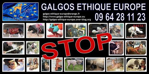 2014 ban francoise galgos ethique europe