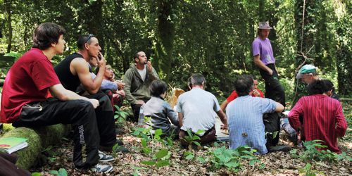 kerboularbre-2011 3305