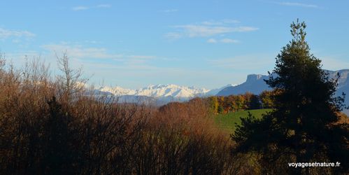 Vue-sur-les-Alpes.JPG