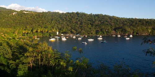 Guadeloupe, vue sur l'Anse à la Barque 2