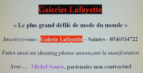 Appel-Candidats-defile-GL.jpg