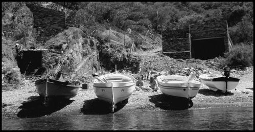 Barques catalanes Arjau Cerbère n&ter