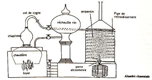 Schéma d'un alambic au cours d'une distillation par entrainement à la