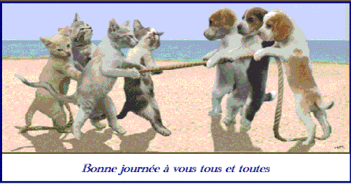 Bonne-journee.gif