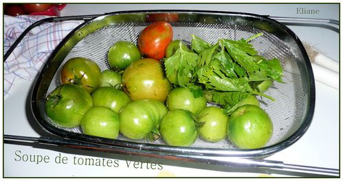 soupe-de-tomates--vertes-1.jpg