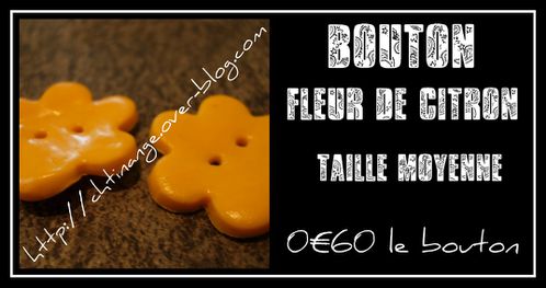 bouton-fleur-de-citron.jpg