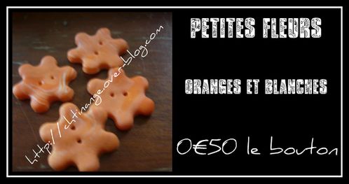 fleur orange et blanche