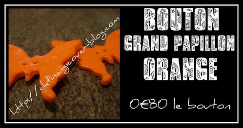 grand-papillon-orange.jpg