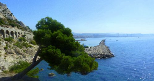 corbieres-estaque-marseille.JPG