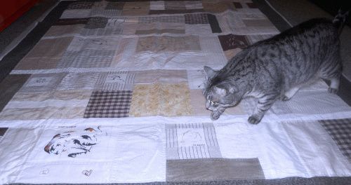 coperta patchwork Danila 1 ri.
