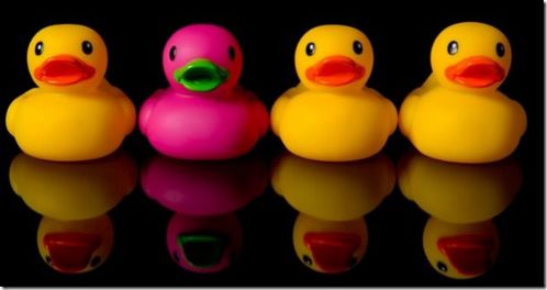 canards.jpg