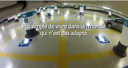 handicap.jpg