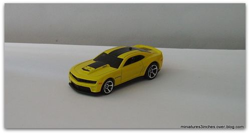 IMGP1281.JPG