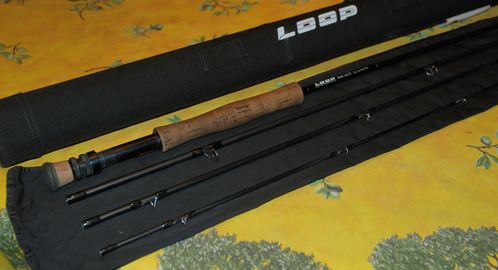 2010 0059