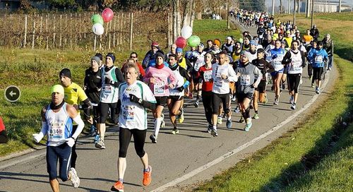 Maratona Internazionale Città del Tricolore. Tutto pronto per la Maratona di Reggio Emilia il prossimo 14 dicembre 2015 (19^ ed.). Martedì 2 dicembre la conferenza stampa di presentazione