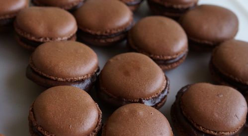 macaronaout2012.jpg