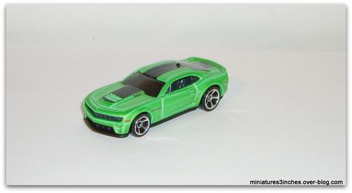 IMGP1256.JPG
